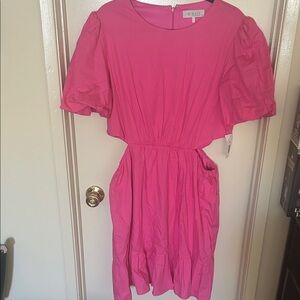 Wayf Vibrant Pink Dress
